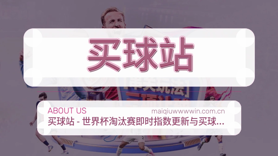 买球站 数据团队与办公环境